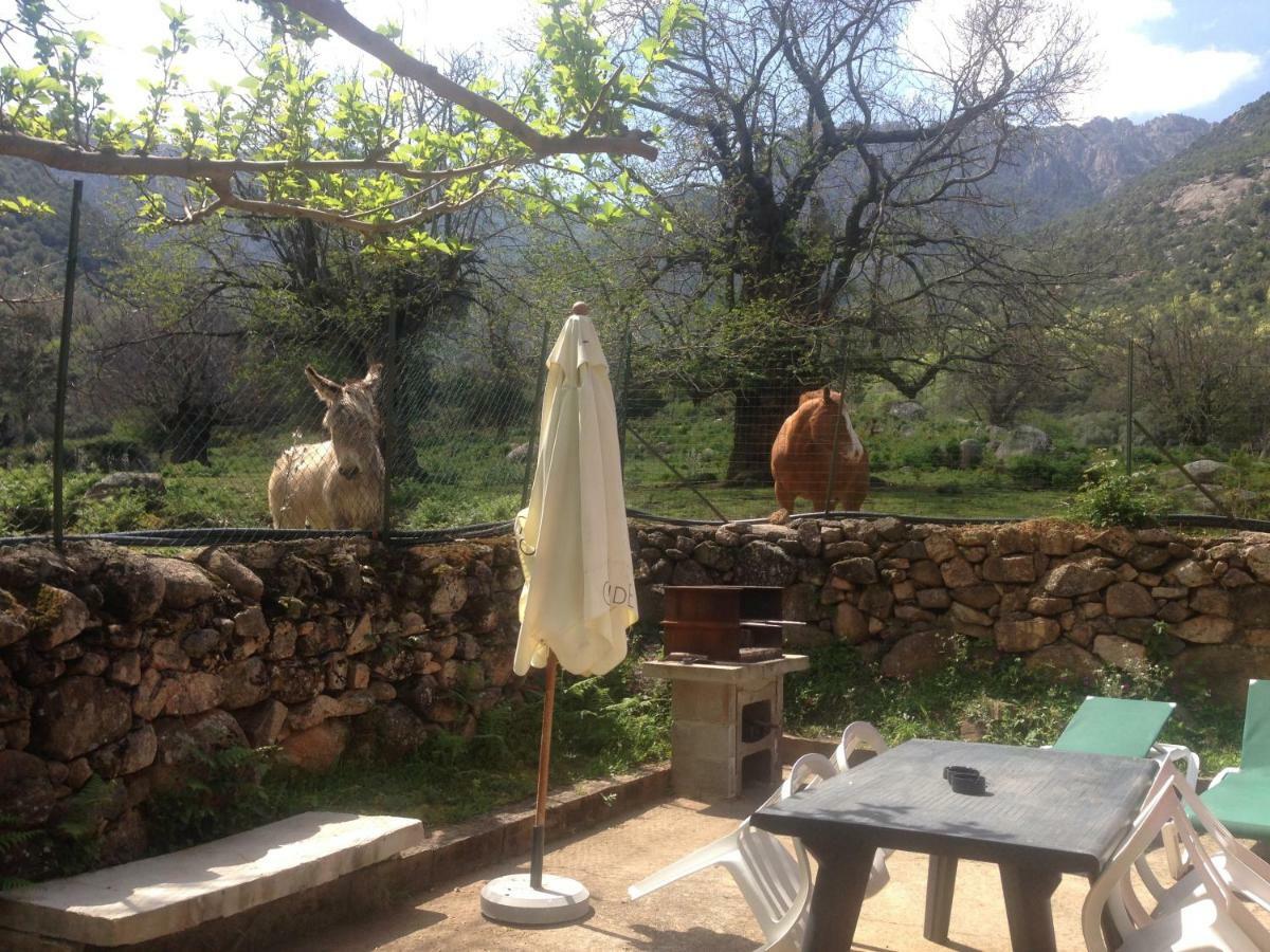 Funtana A L'Ora Otel Porto  Dış mekan fotoğraf